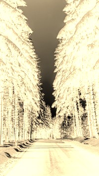 Sepia + Negatyw