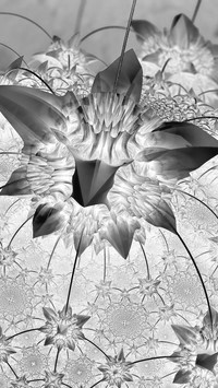 Szary + Negatyw