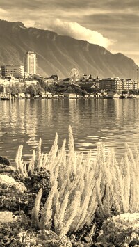 Szary + Sepia