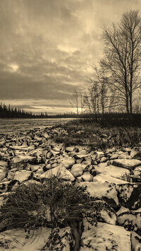 Sepia