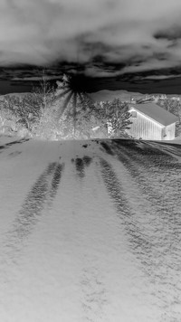 Szary + Negatyw