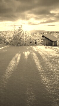Szary + Sepia