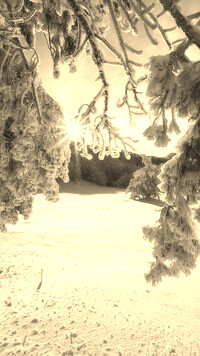 Szary + Sepia