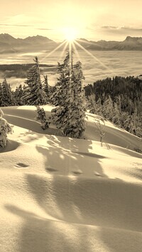 Sepia