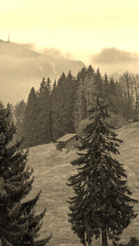 Szary + Sepia