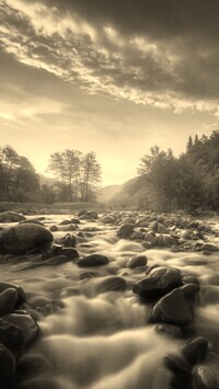 Sepia