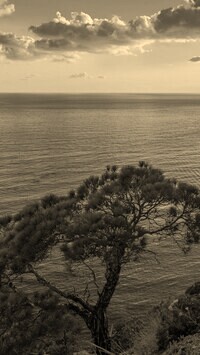 Sepia
