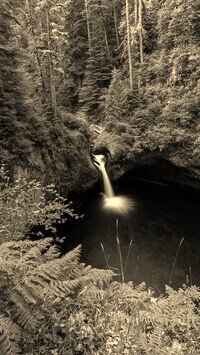Sepia