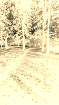 Sepia + Negatyw
