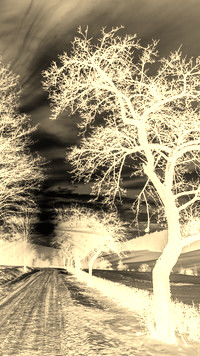 Sepia + Negatyw