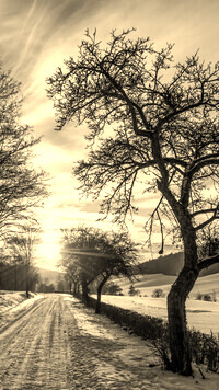 Szary + Sepia