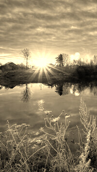 Sepia