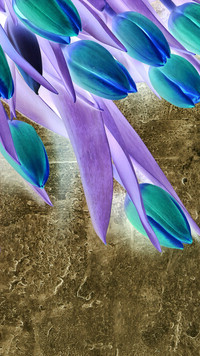 Negatyw