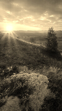 Szary + Sepia