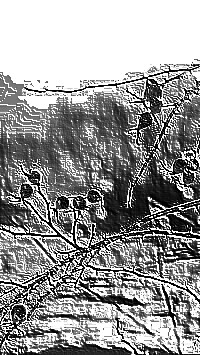 Skamielina