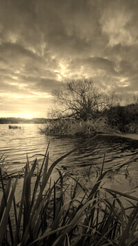 Szary + Sepia