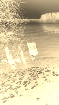Sepia + Negatyw