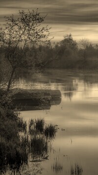 Sepia