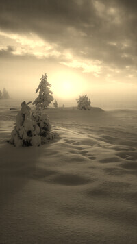 Sepia