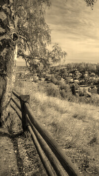 Szary + Sepia