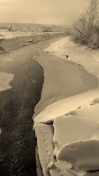 Sepia