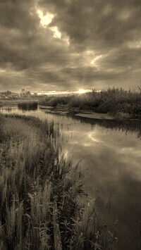 Sepia