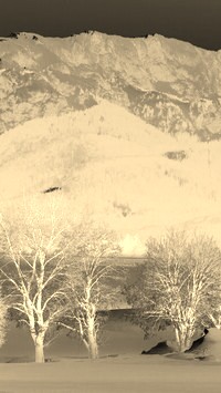 Sepia + Negatyw