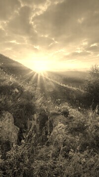 Sepia