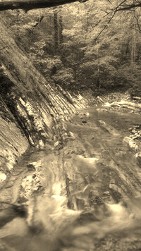 Sepia