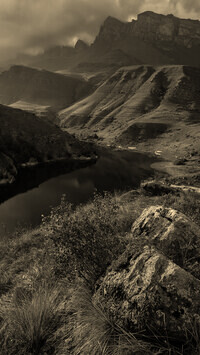 Sepia