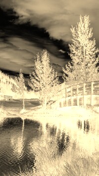 Sepia + Negatyw