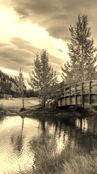 Szary + Sepia