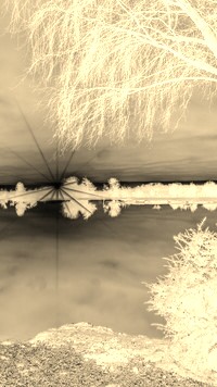Sepia + Negatyw