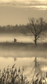 Szary + Sepia