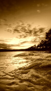 Sepia