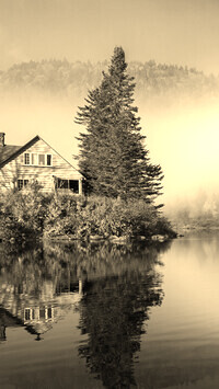 Szary + Sepia