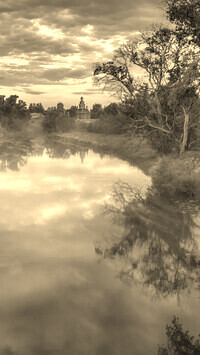 Sepia