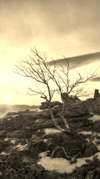 Sepia