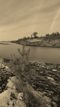 Sepia
