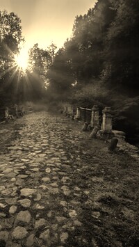 Szary + Sepia
