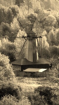 Szary + Sepia