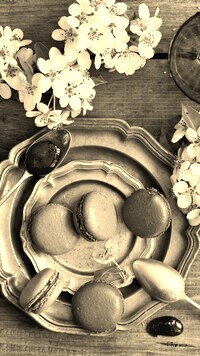 Szary + Sepia