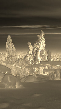 Sepia + Negatyw