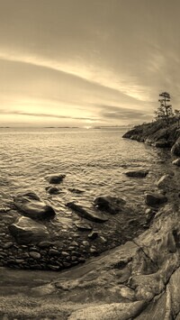 Sepia