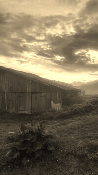 Szary + Sepia