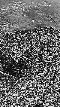 Skamielina