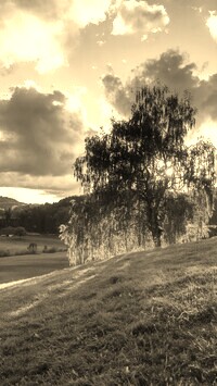 Szary + Sepia