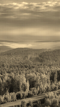 Sepia