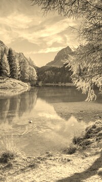 Szary + Sepia