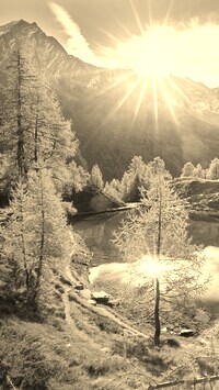 Sepia